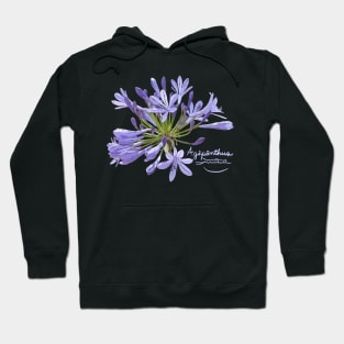 Agapanthus Hoodie